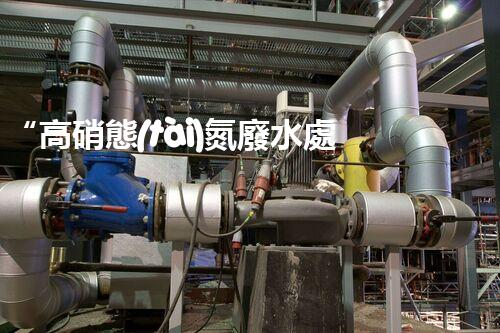 “高硝態(tài)氮廢水處理，綠色環(huán)保新篇章”